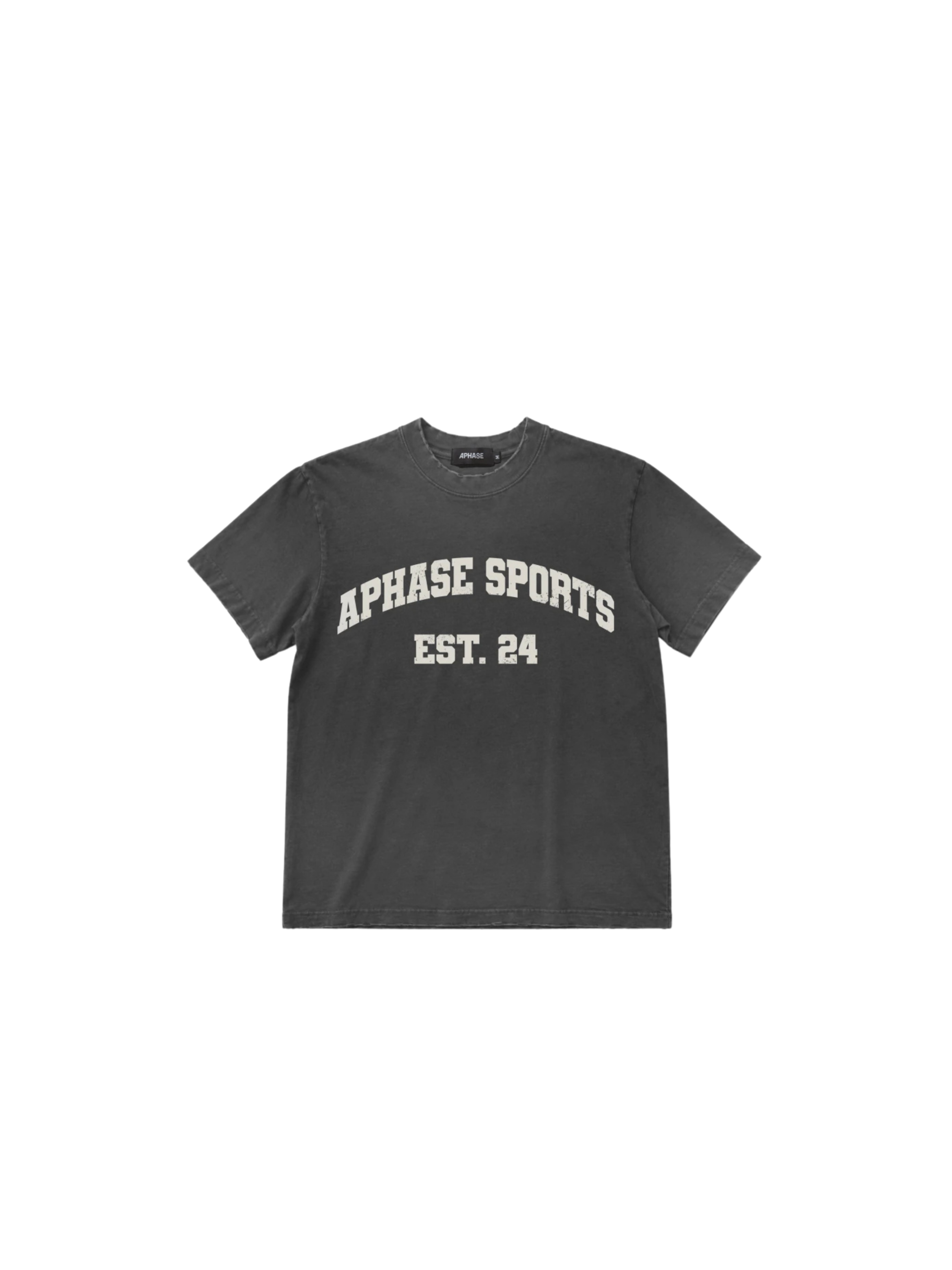 Gym T-shirt "Whased Gray"